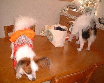 �A�[�X�����[��